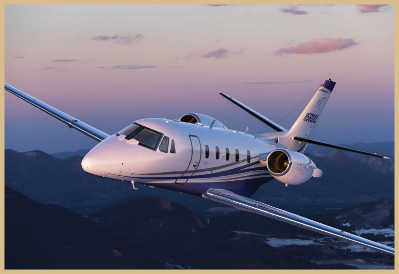 Citation Excel